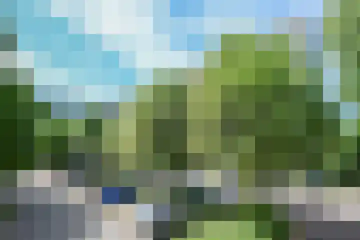 Haverweerd 109 A Soest thumbnail 17