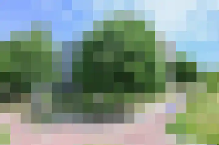 Haverweerd 109 A Soest thumbnail 18