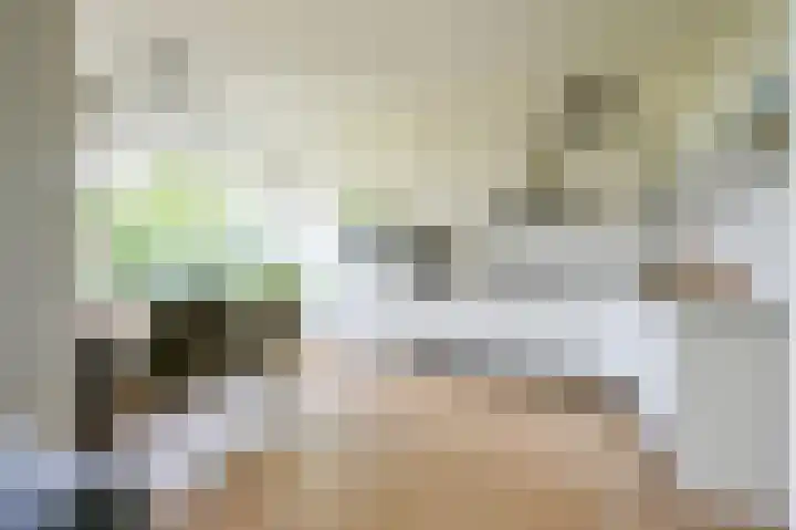 Haverweerd 109 A Soest thumbnail 4