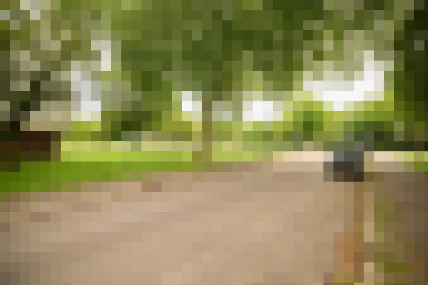 Haverweerd 11 Soest thumbnail 31