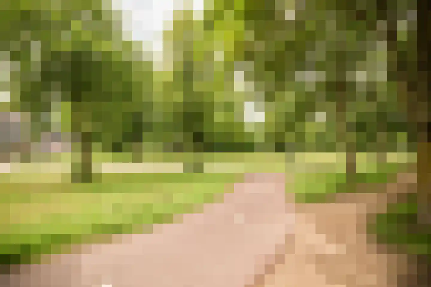 Haverweerd 11 Soest thumbnail 32