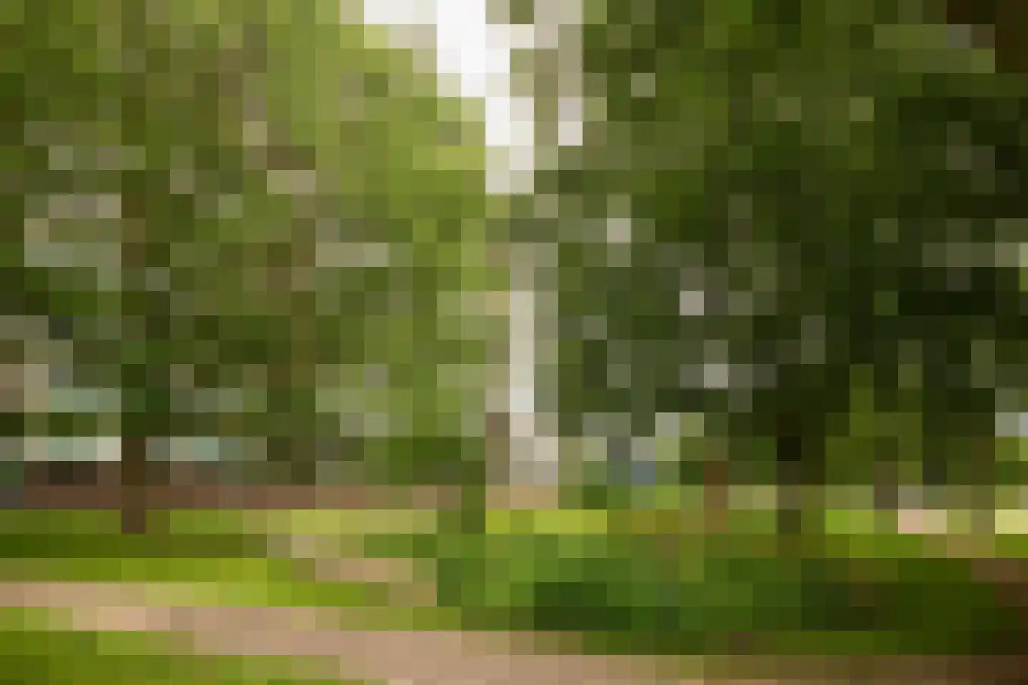Haverweerd 11 Soest thumbnail 35