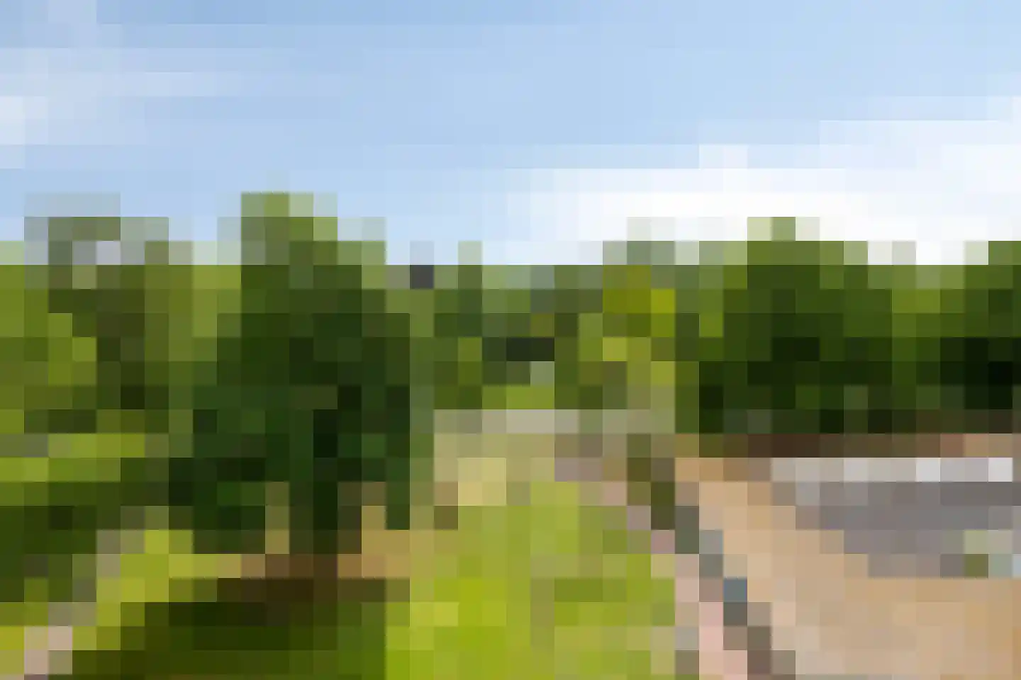 Haverweerd 117 Soest thumbnail 25