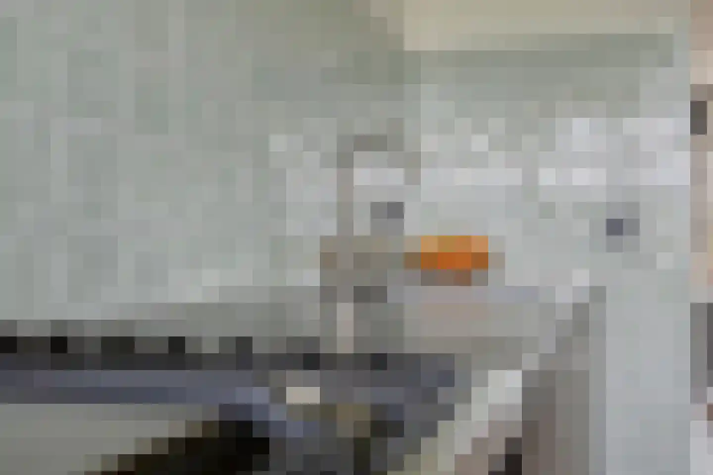 Haverweerd 117 Soest thumbnail 6