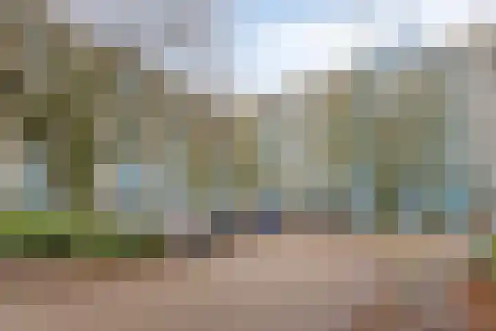 Haverweerd 131 Soest thumbnail 20