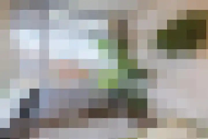 Haverweerd 135 Soest thumbnail 13