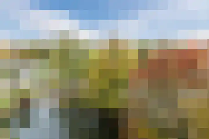 Haverweerd 135 Soest thumbnail 28