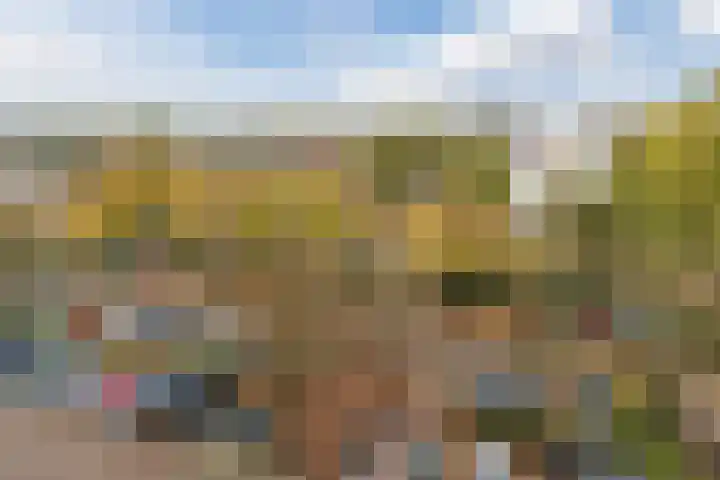 Haverweerd 135 Soest thumbnail 30