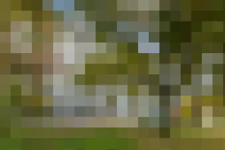 Haverweerd 135 Soest thumbnail 35