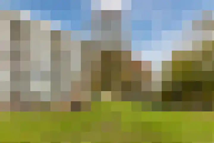 Haverweerd 135 Soest thumbnail 37