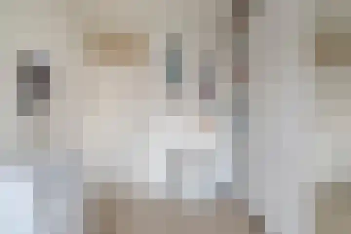 Haverweerd 27 Soest thumbnail 21