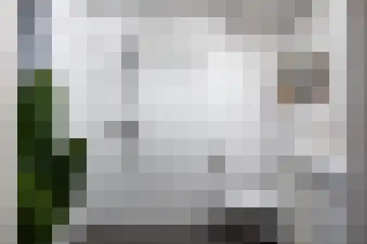 Haverweerd 42 Soest thumbnail 16