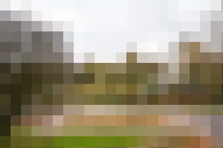 Haverweerd 42 Soest thumbnail 18