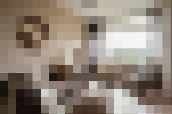 Haverweerd 42 Soest thumbnail 4