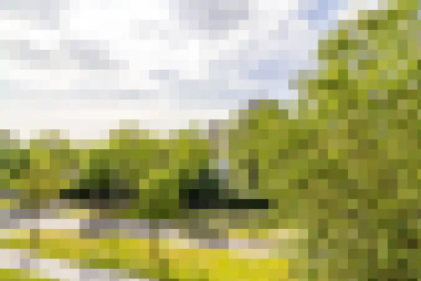 Haverweerd 53 Soest thumbnail 15