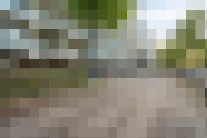 Haverweerd 56 Soest thumbnail 23