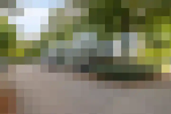 Haverweerd 56 Soest thumbnail 24