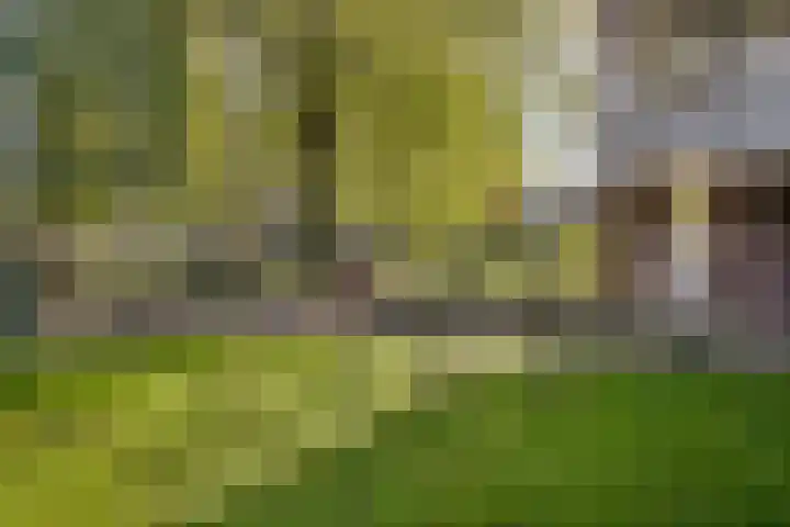 Haverweerd 56 Soest thumbnail 26