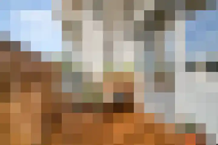 Haverweerd 56 Soest thumbnail 5