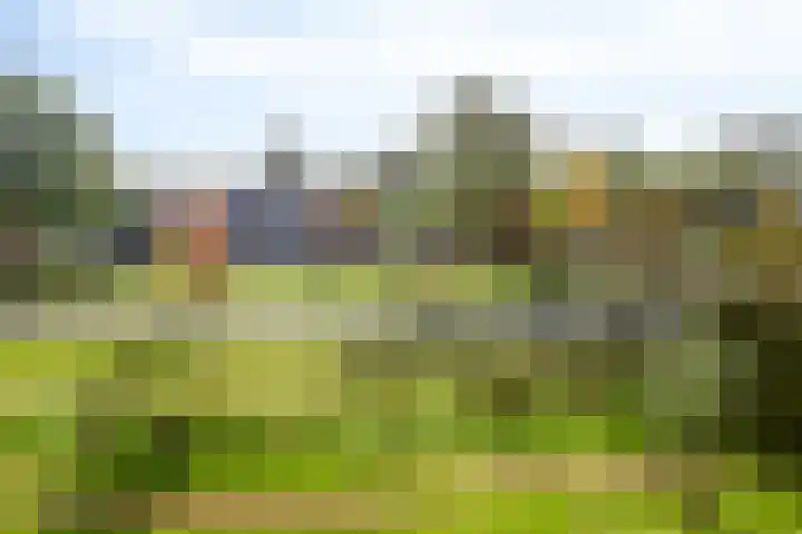 Haverweerd 56 Soest thumbnail 6