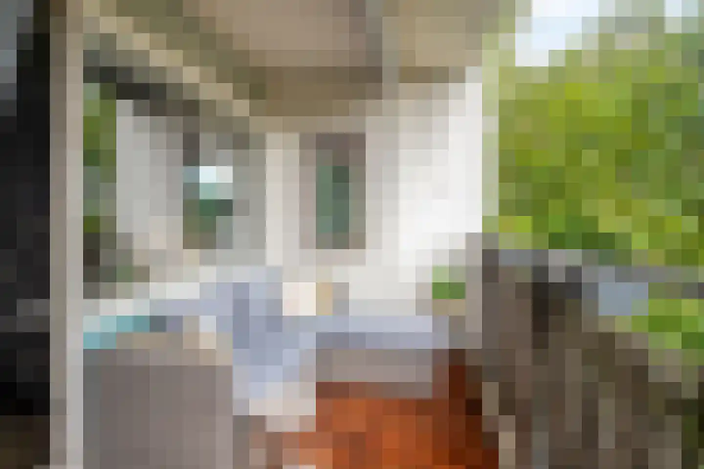 Haverweerd 73 Soest thumbnail 18