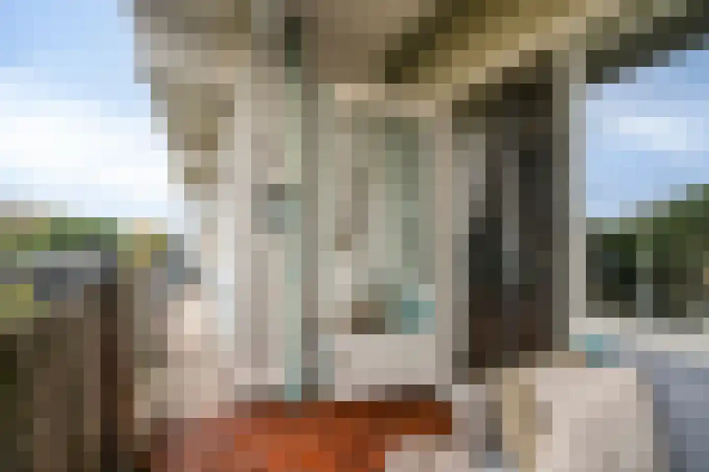 Haverweerd 73 Soest thumbnail 19