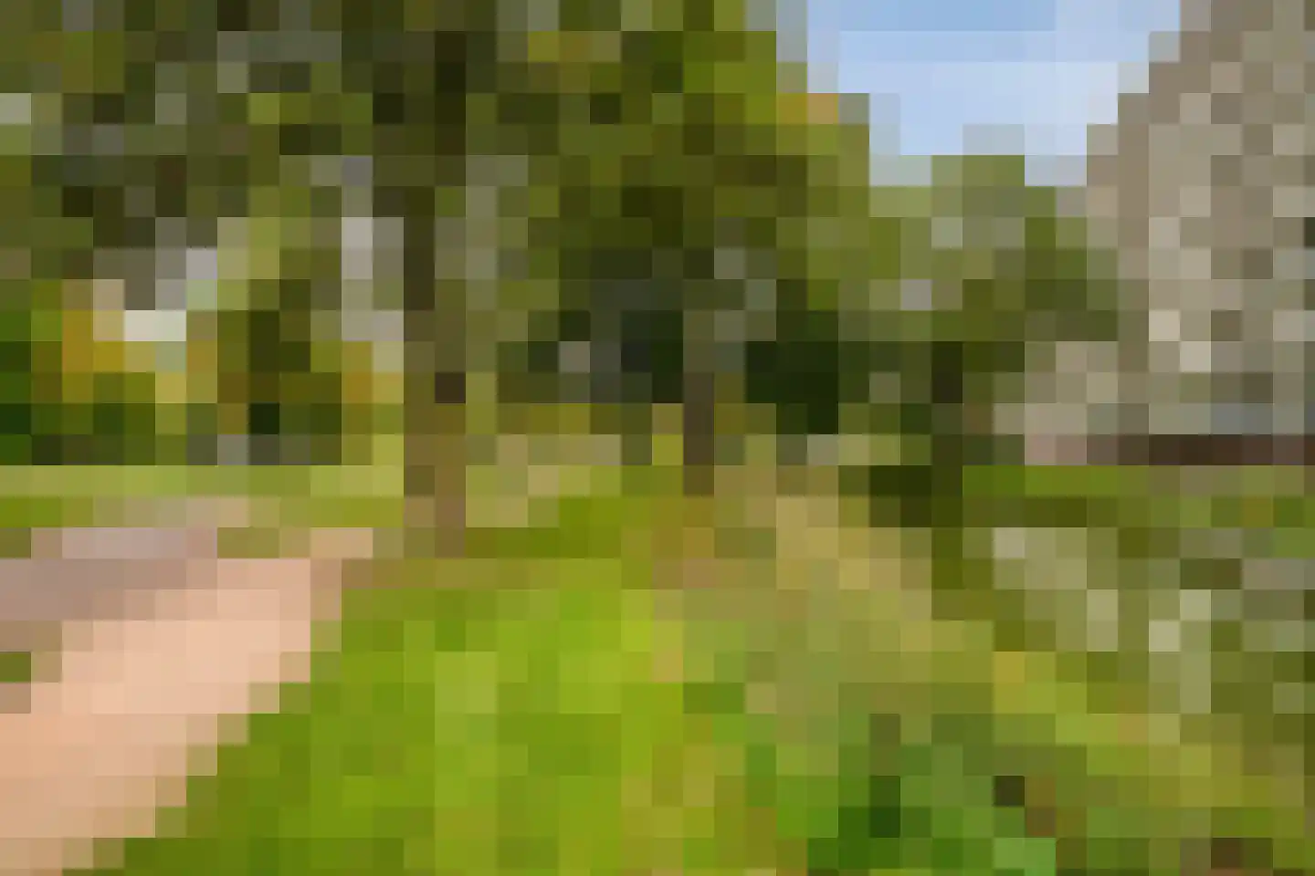 Haverweerd 73 Soest thumbnail 23