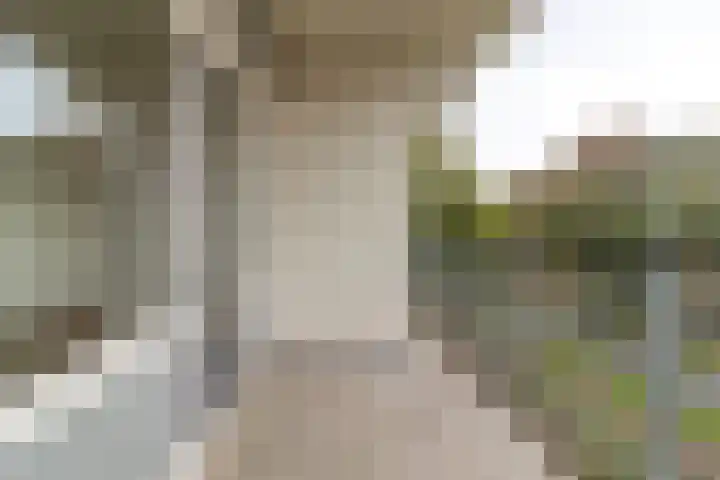 Haverweerd 78 Soest thumbnail 15