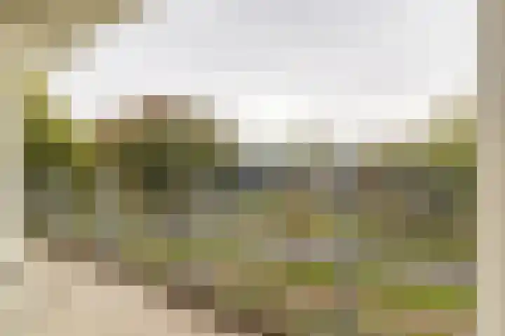 Haverweerd 78 Soest thumbnail 16