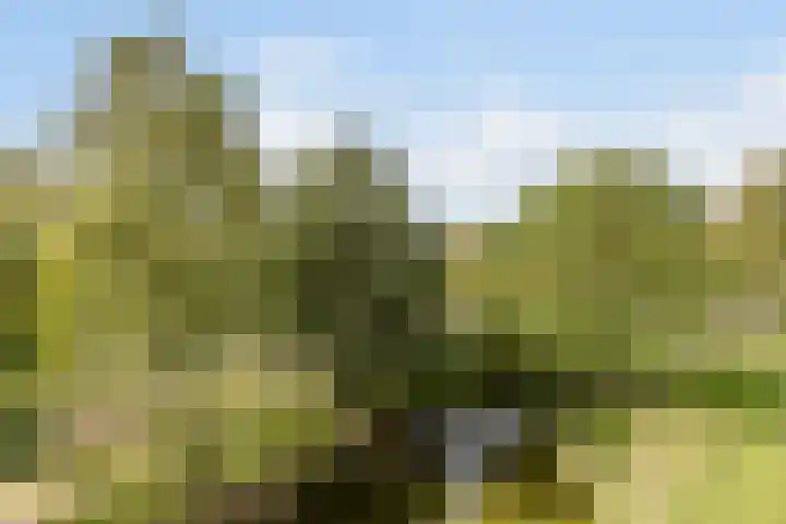 Haverweerd 81 Soest thumbnail 23