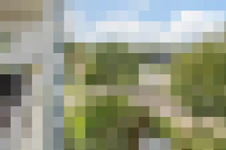 Haverweerd 81 Soest thumbnail 24