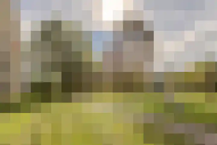Haverweerd 81 Soest thumbnail 33