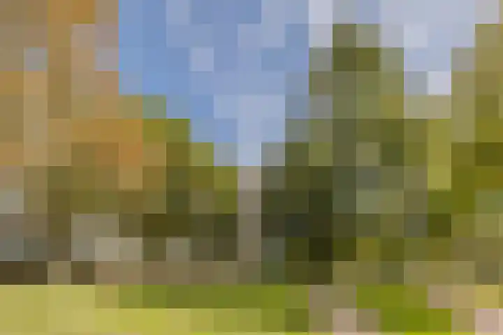 Haverweerd 81 Soest thumbnail 35