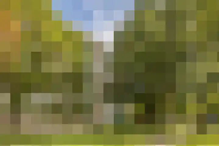 Haverweerd 81 Soest thumbnail 36