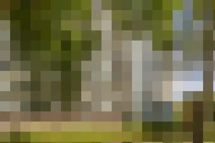 Haverweerd 81 Soest thumbnail 37