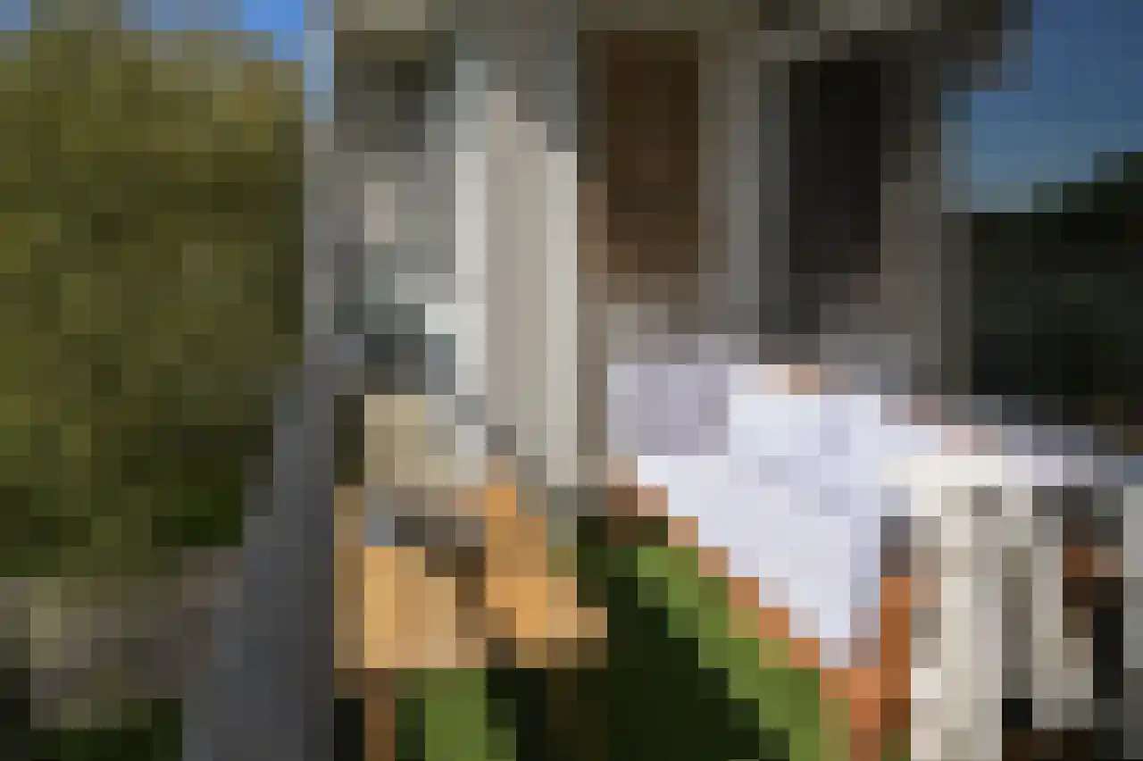 Haverweerd 84 Soest thumbnail 4