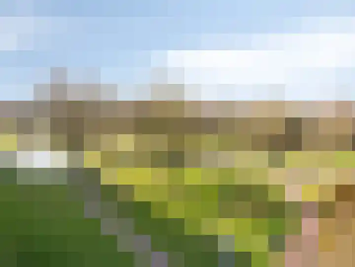 Haverweerd 95 Soest thumbnail 20