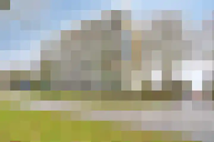 Haverweerd 95 Soest thumbnail 21