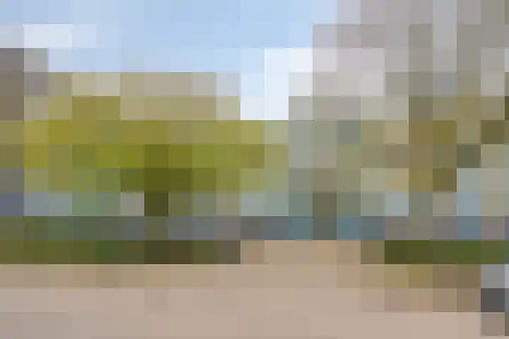Haverweerd 95 Soest thumbnail 23