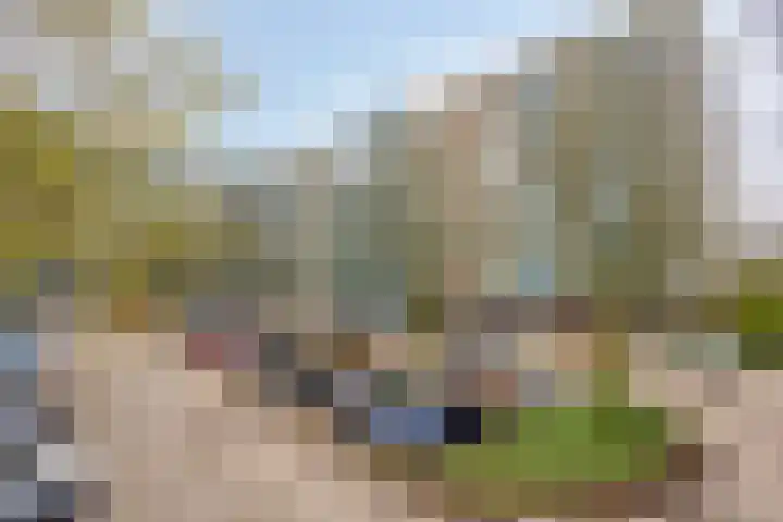 Haverweerd 95 Soest thumbnail 24