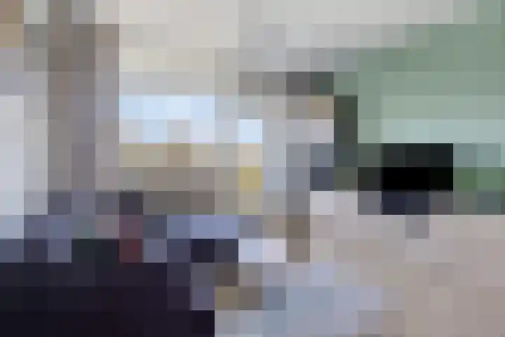 Haverweerd 95 Soest thumbnail 6
