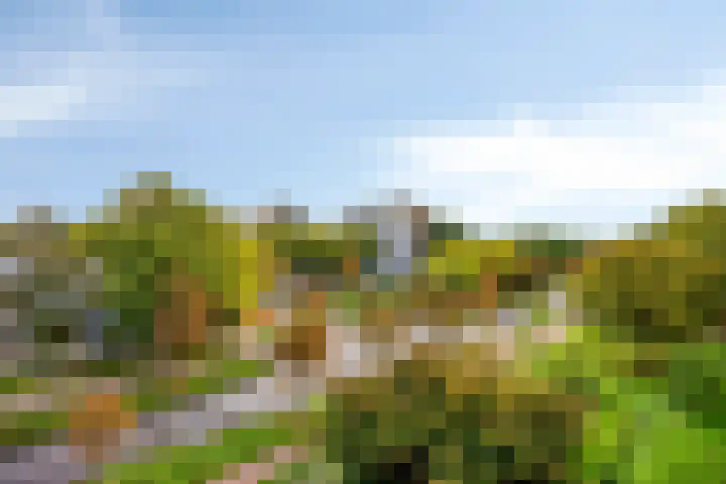 Haverweerd 96 Soest thumbnail 16