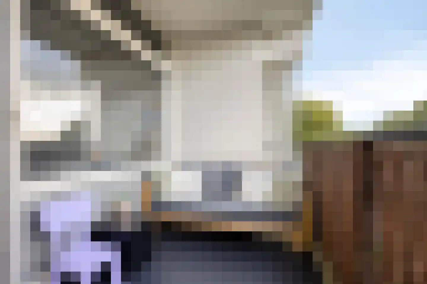 Haverweerd 96 Soest thumbnail 4