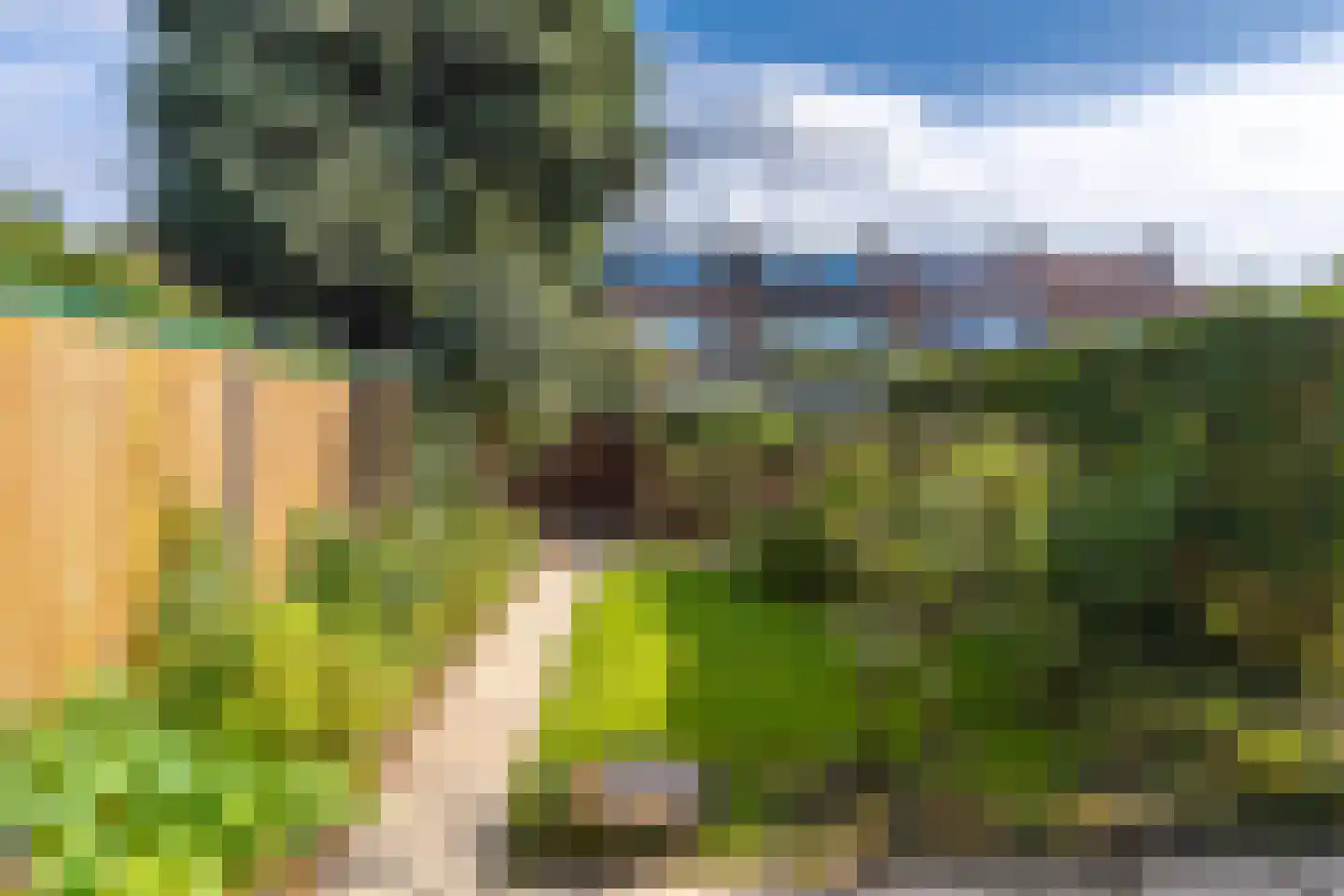 Haverweg 17 Rheden thumbnail 12