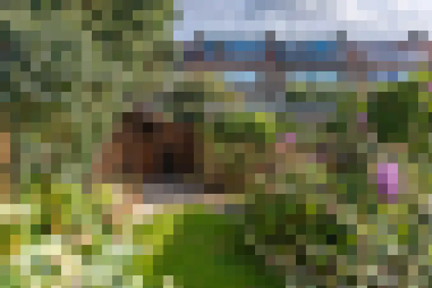 Haverweg 17 Rheden thumbnail 13