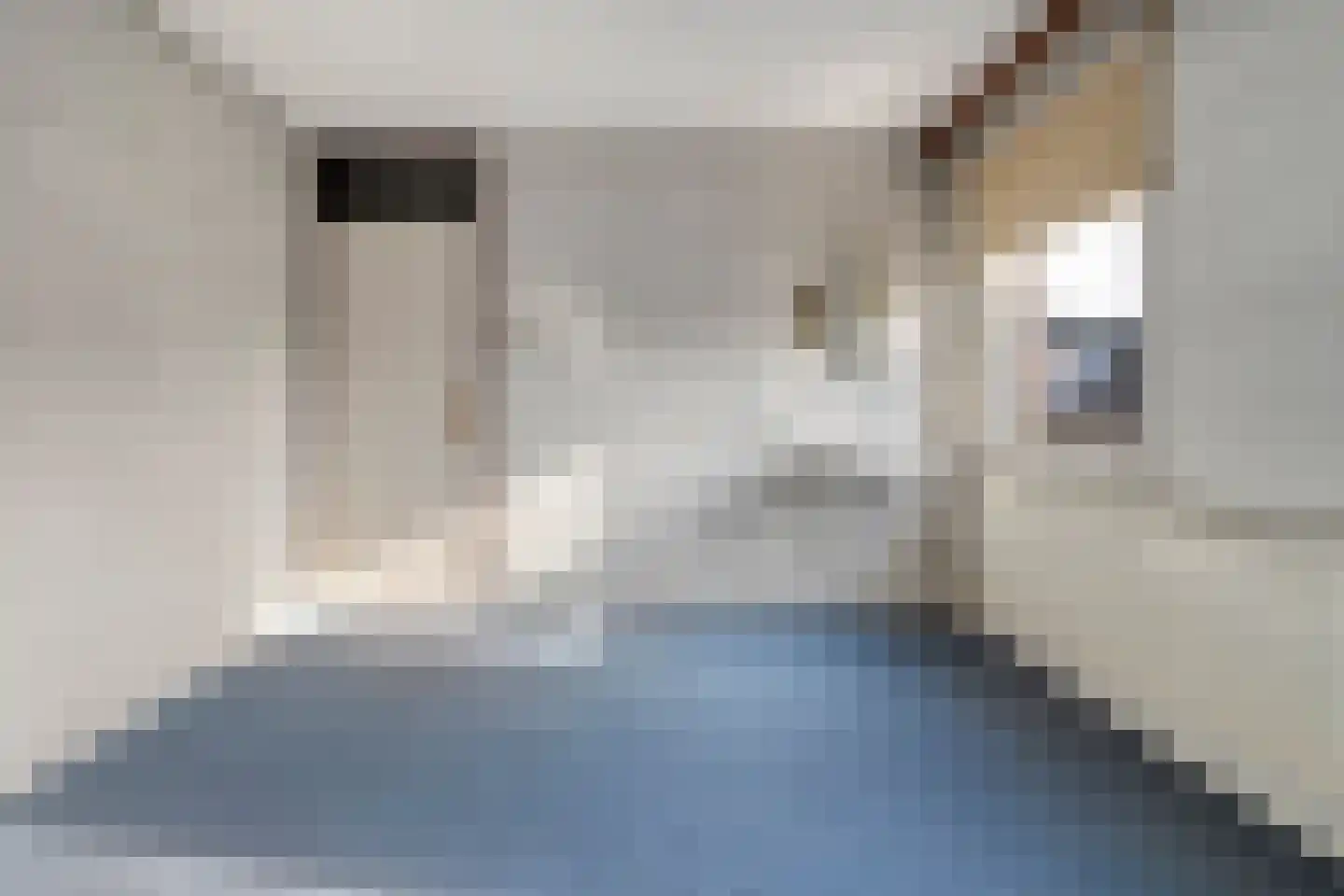 Haverweg 25 Hengelo thumbnail 22