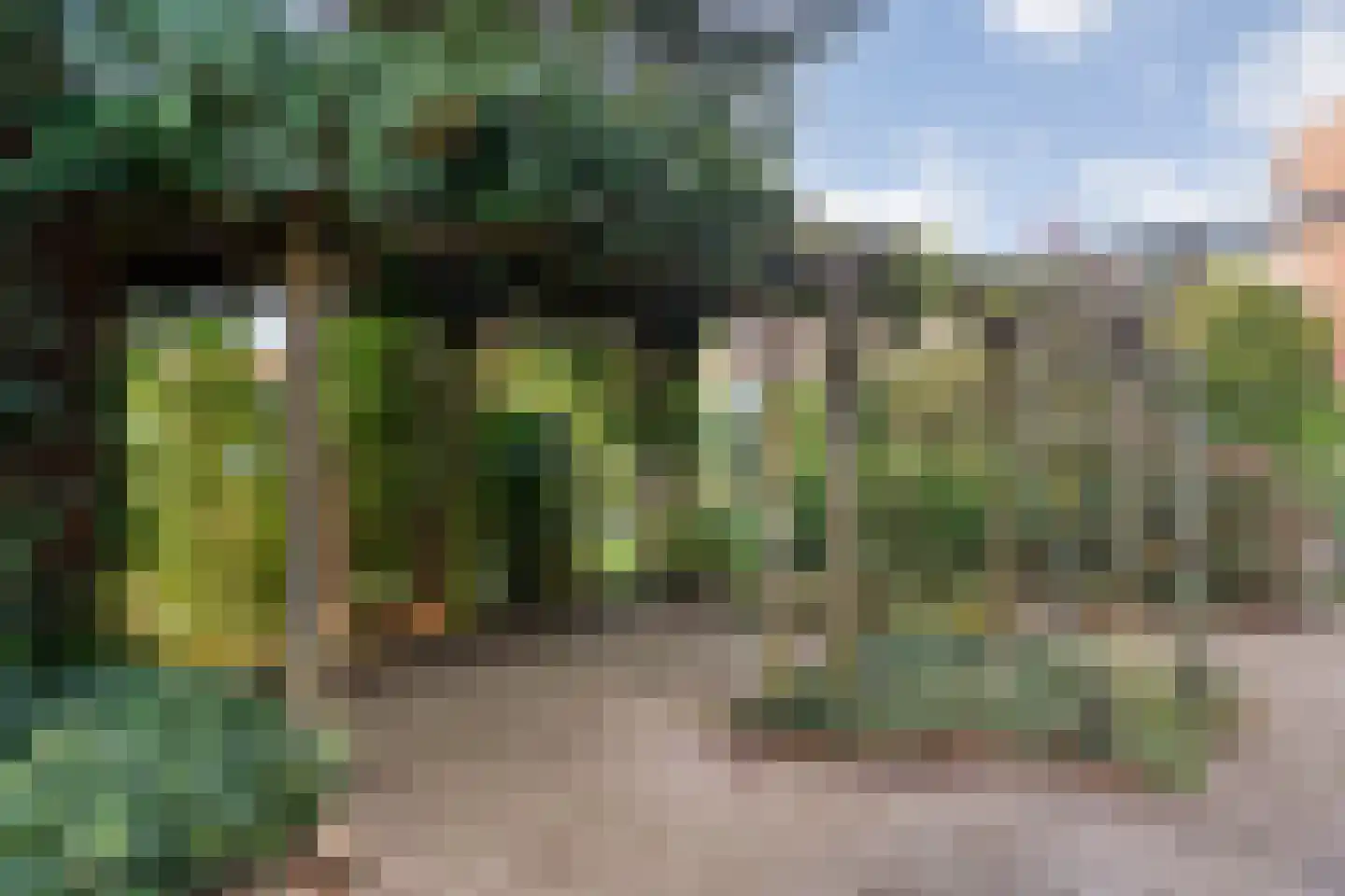 Haverweg 25 Hengelo thumbnail 36
