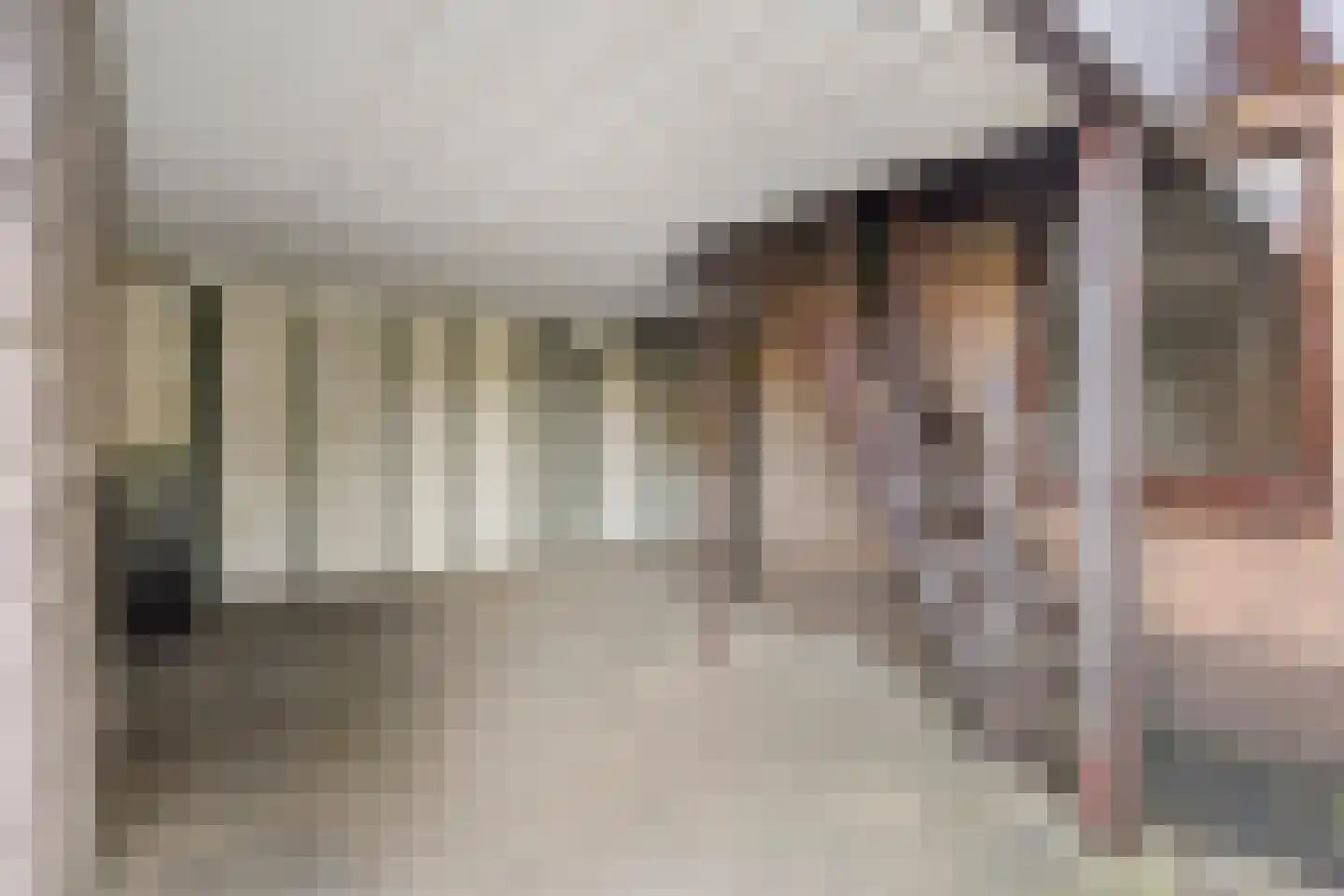 Haverweg 25 Hengelo thumbnail 38
