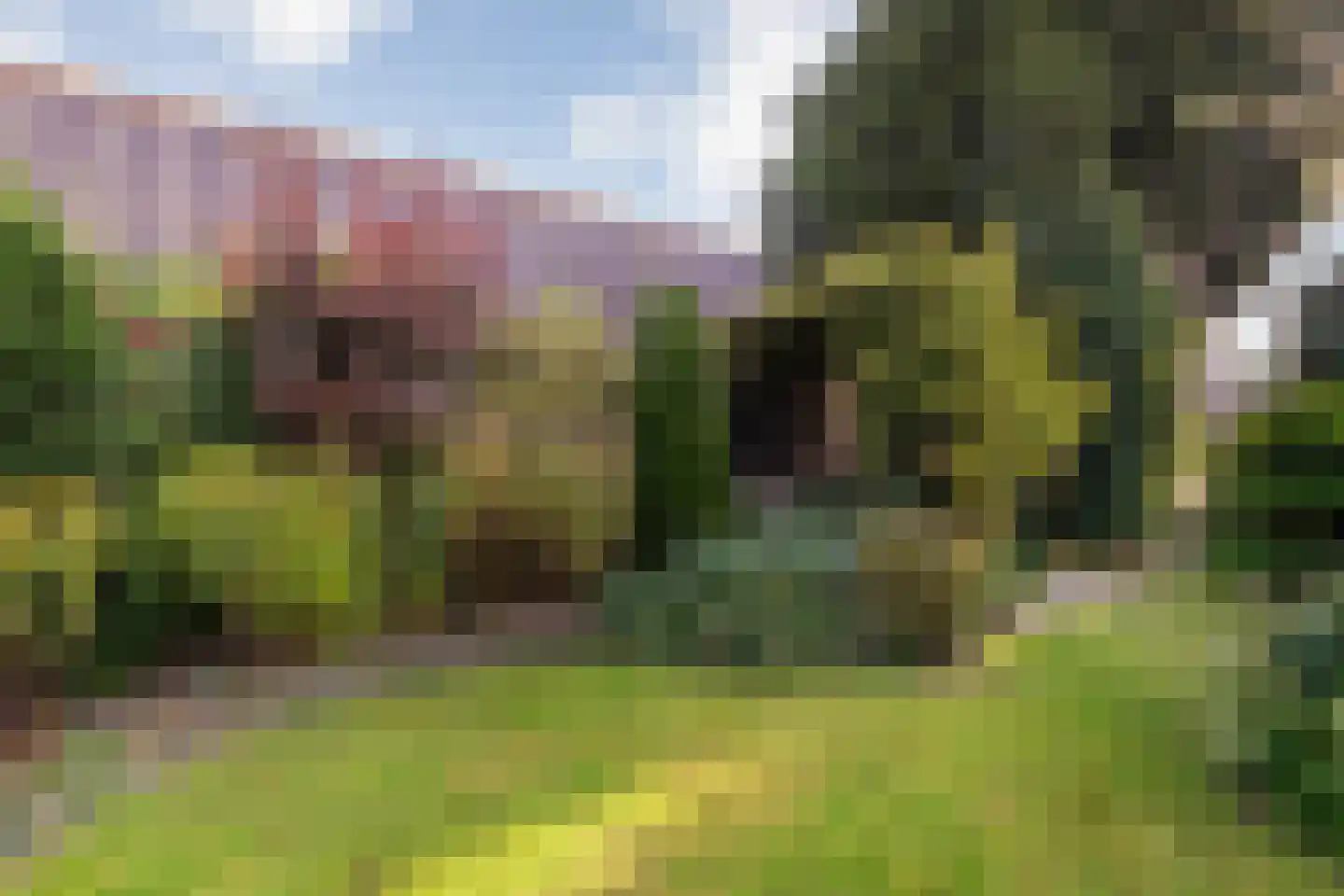 Haverweg 25 Hengelo thumbnail 43