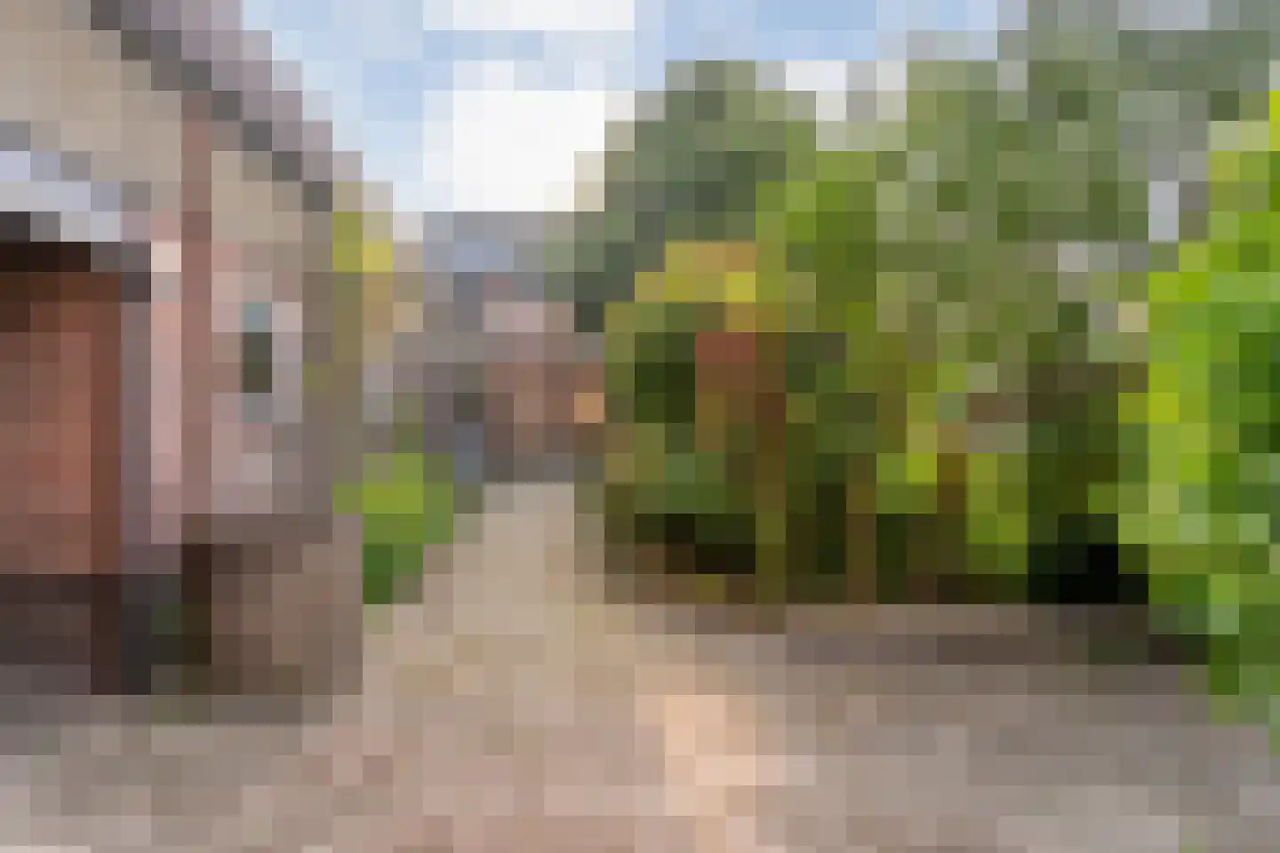 Haverweg 25 Hengelo thumbnail 45